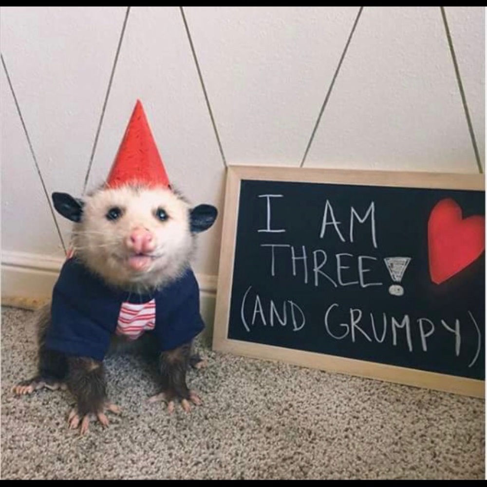 Meet your Posher, Kristen